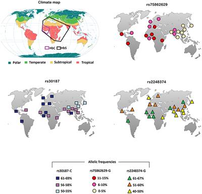 Ankylosing Spondylitis: A Trade Off of HLA-B27, ERAP, and Pathogen Interconnections? Focus on Sardinia